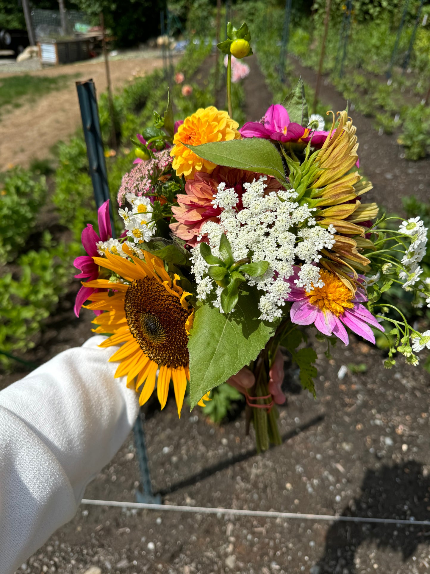 4 Week Spring Bouquet Subscription