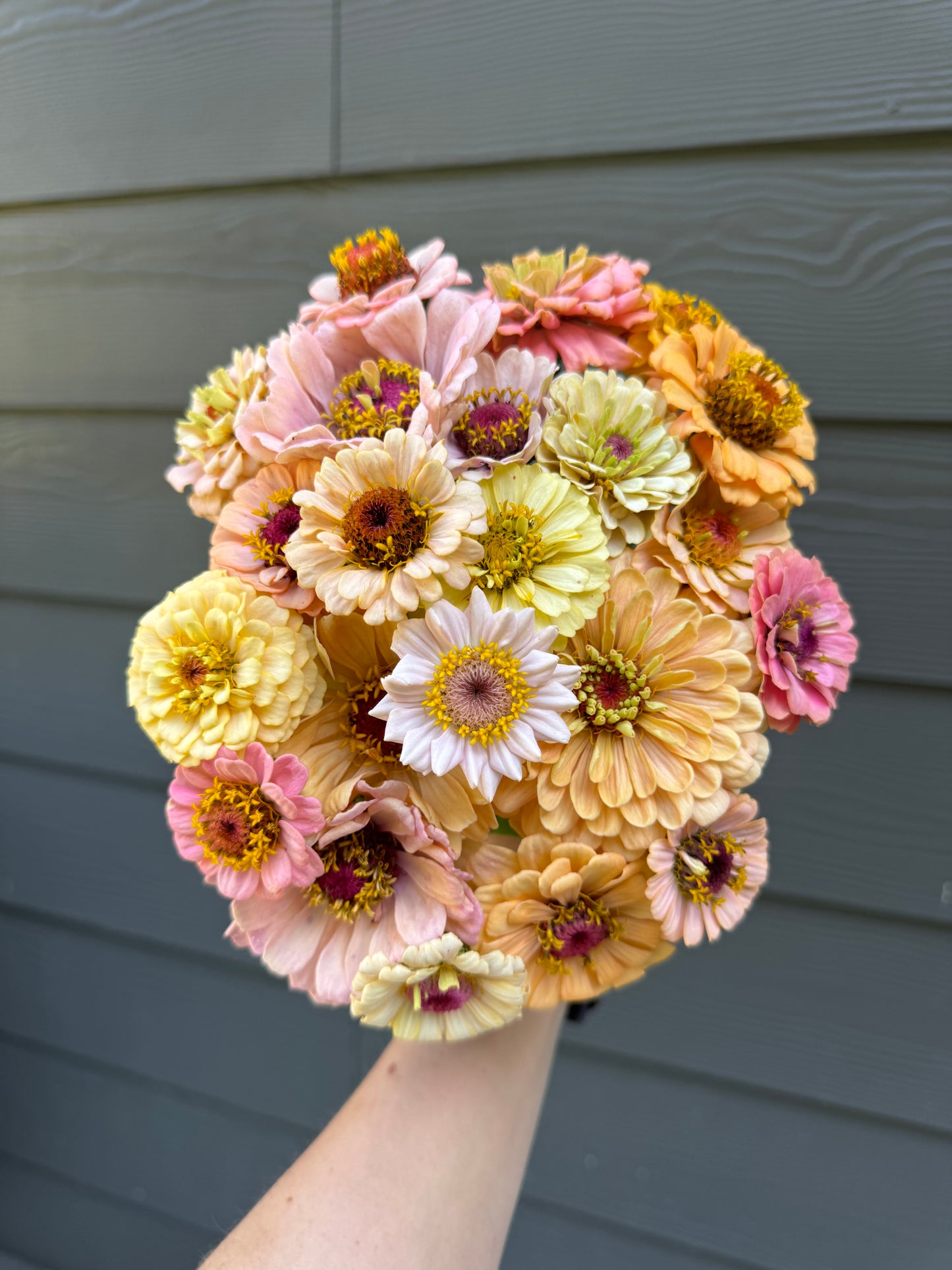 6 Week Summer Bouquet Subscription