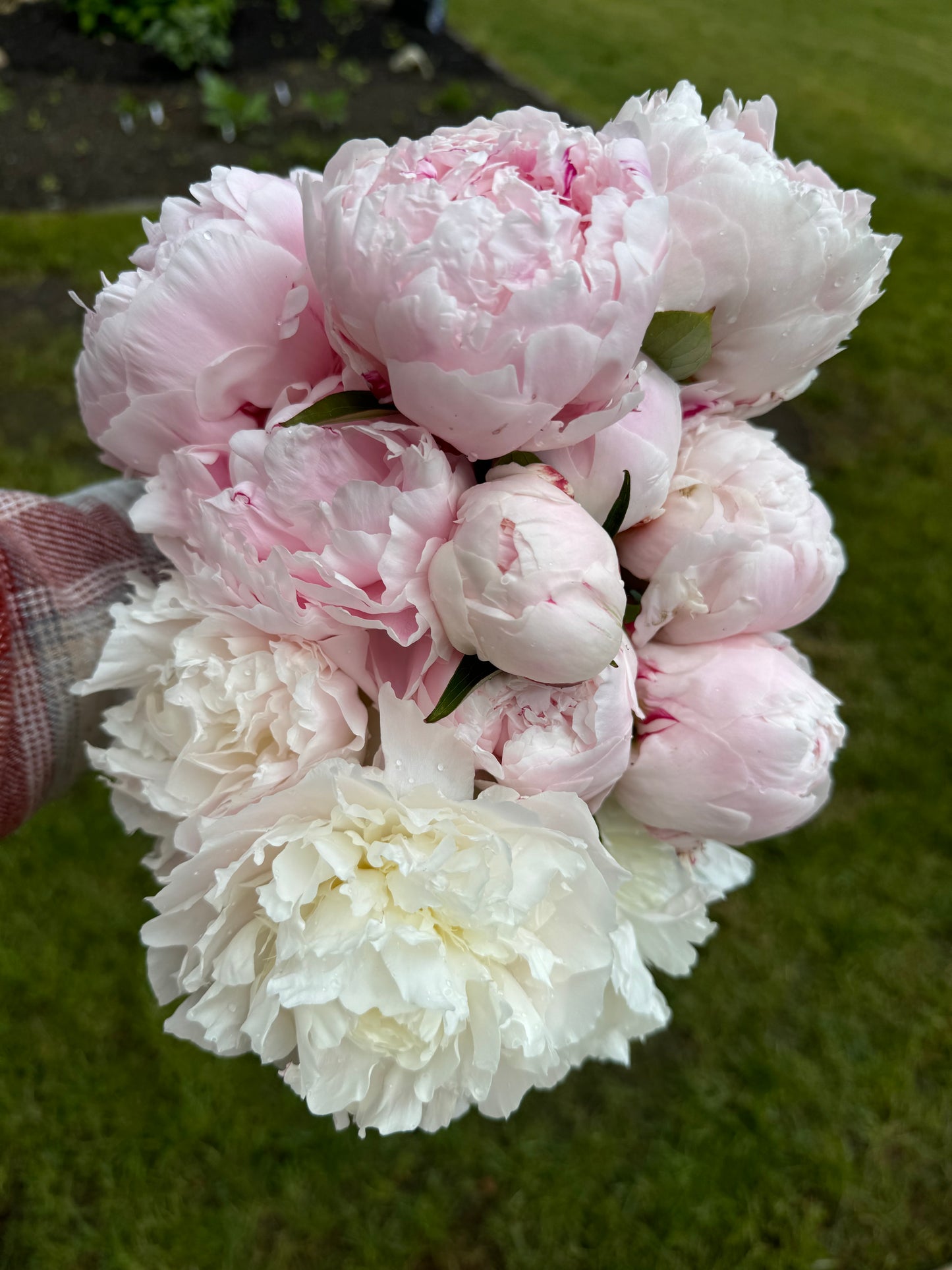 4 Week Spring Bouquet Subscription