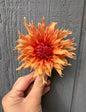 Terracotta Dahlia Tuber