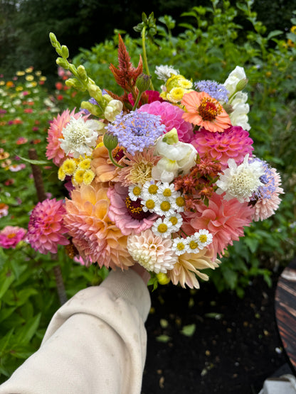 6 Week Summer Bouquet Subscription