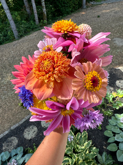 4 Week Spring Bouquet Subscription