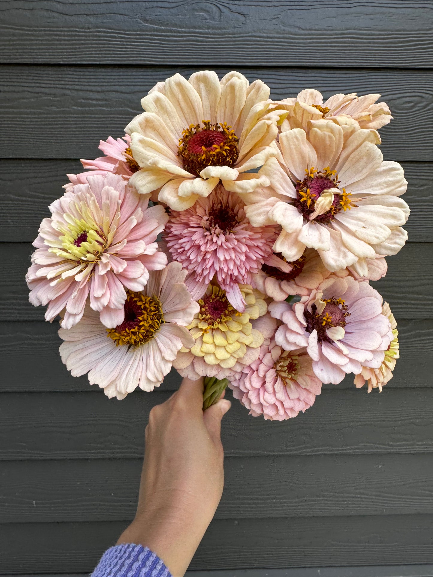 6 Week Summer Bouquet Subscription